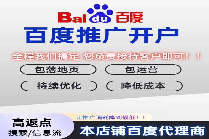 行业领先的SEM投放效果案例解析